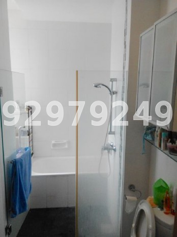 The Elegance @ Changi (D15), Apartment #35888292
